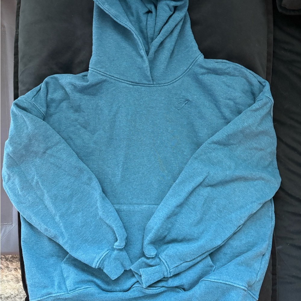 Blue Hoodie